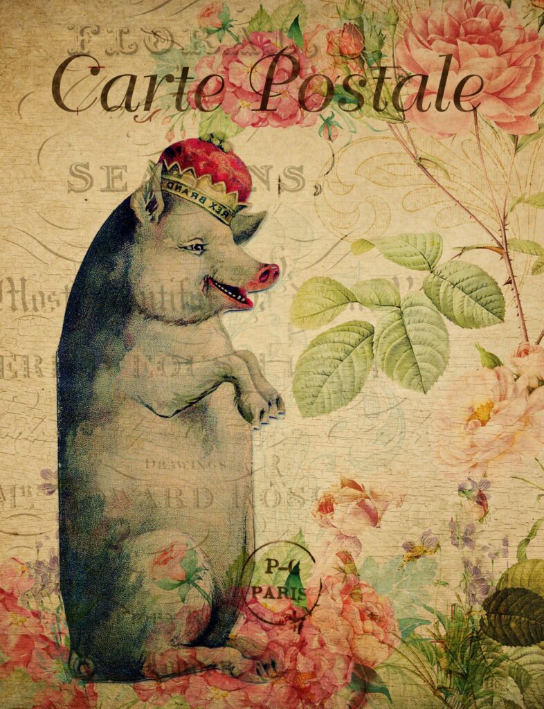 cc0 Public Domain. Image by Karen Arnold.